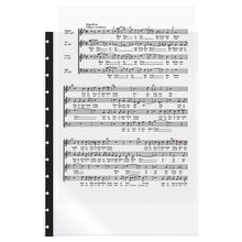 Charger l&#39;image dans la galerie, Lot de 20 pochettes repositionnables SYMPHONY - Vocalyz
